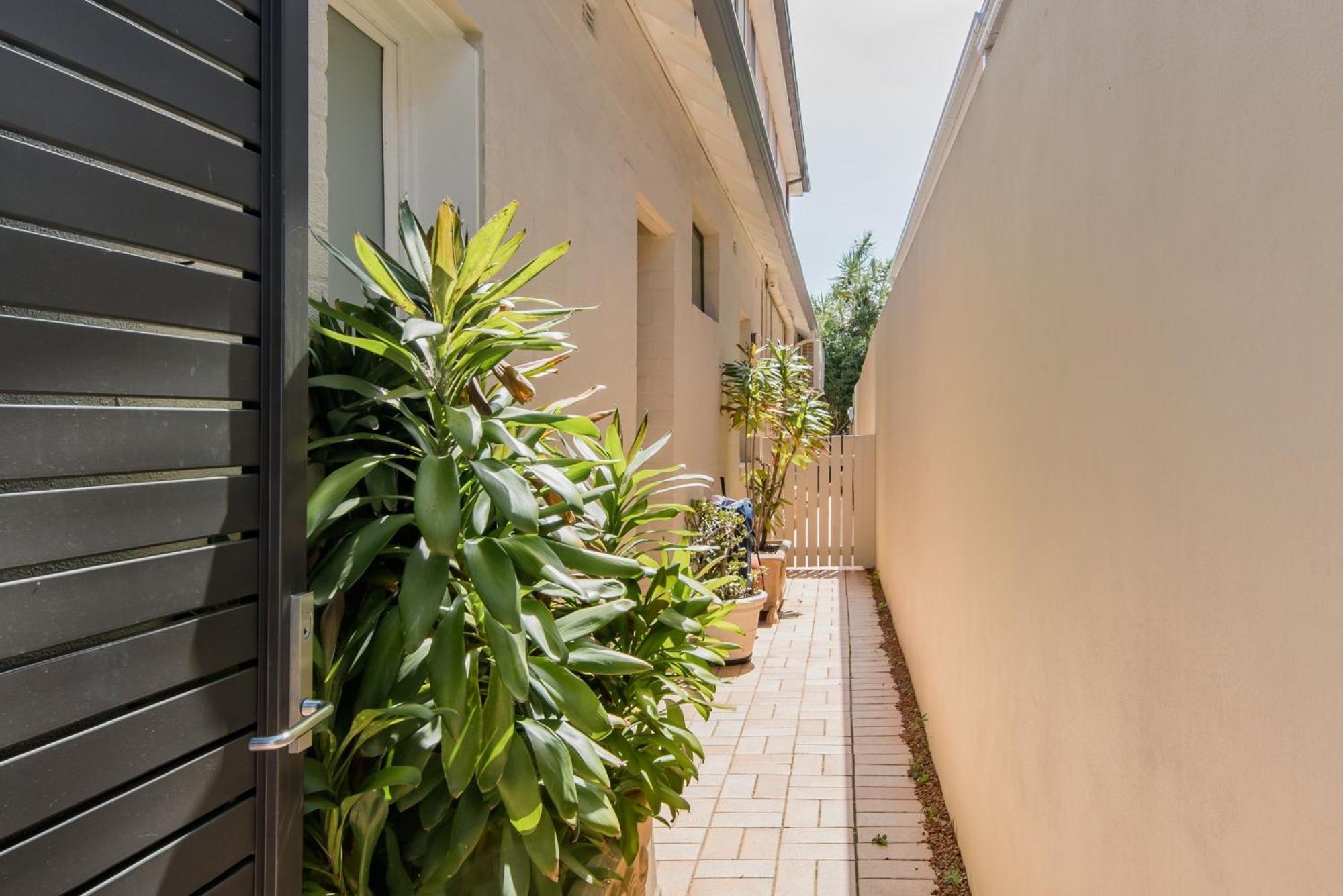 Holidayrento The Palm House Bondi Sídney Exterior foto
